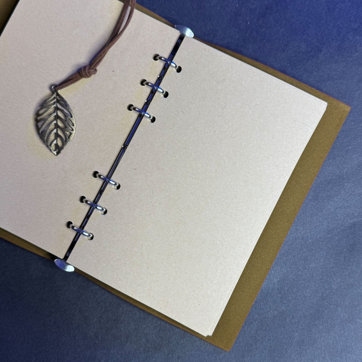 Harry Potter calligraphy set features a green feather quill pen